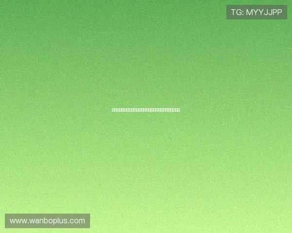 法兰克福俱乐部最新动态：球队备战新赛季展望与阵容调整解析