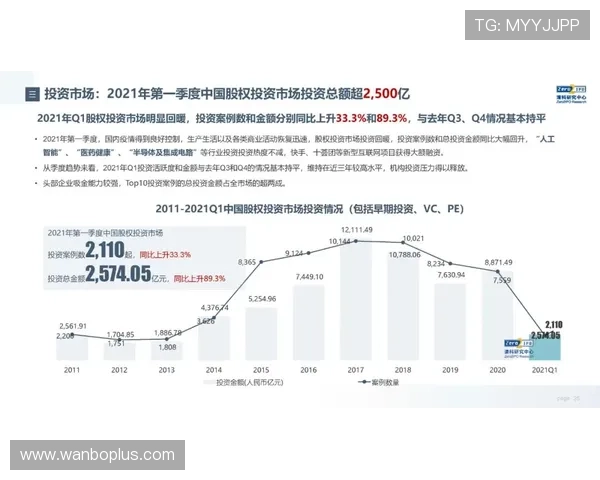 汉堡俱乐部德甲赛季全景解析与未来发展趋势展望 汉堡俱乐部德甲赛季全景解析与未来发展趋势展望